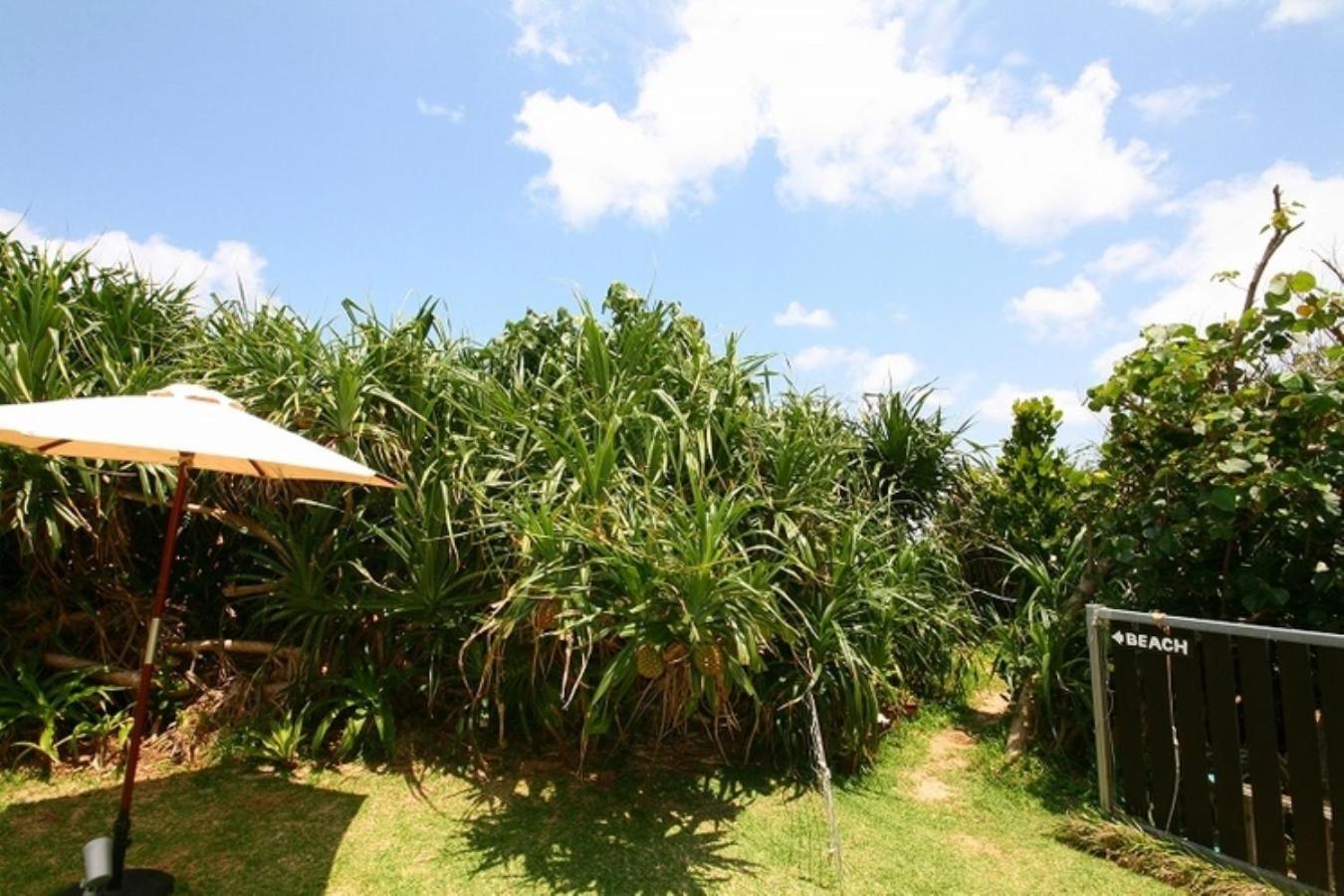 Casa Dumai Oceanvilla ناكيجين المظهر الخارجي الصورة